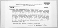 Image Associated With the Occurence